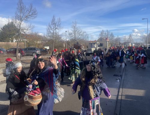 Jubiläumsumzug 40 Jahre NZ Altingen (07.02.2026)